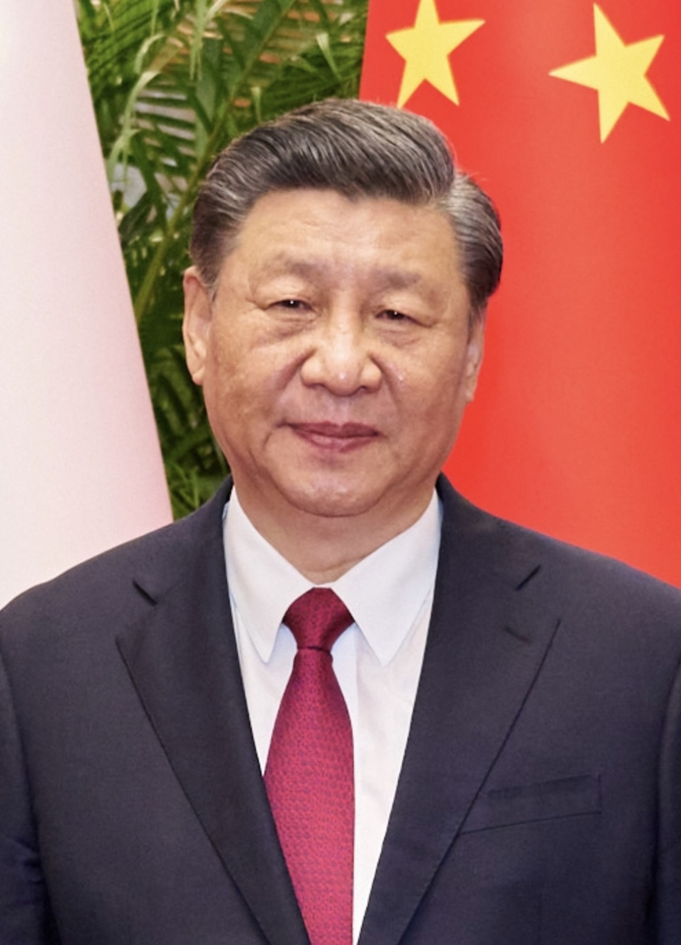 Xi Jinping